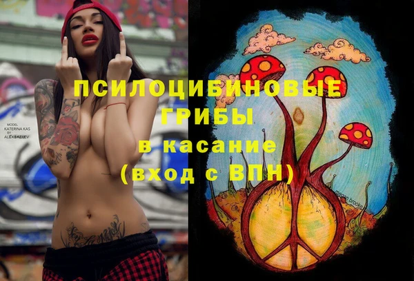 крисы Абдулино