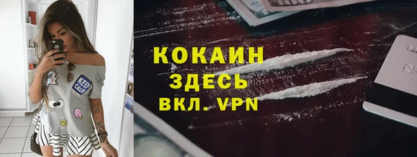 соль ск Алзамай