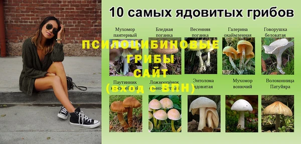 соль ск Алзамай