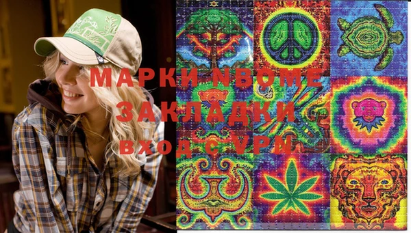 соль ск Алзамай